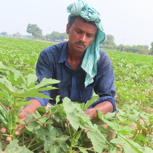 Agricultural support Program