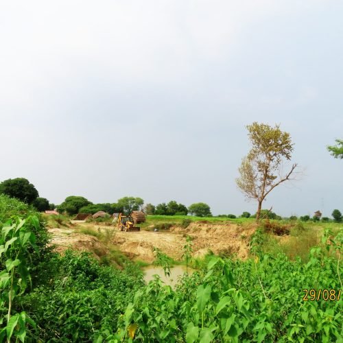 Tree Plantation volunteer Program