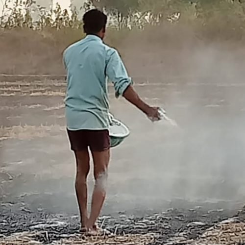 Stubble burning in India – an alarming threat to Environment